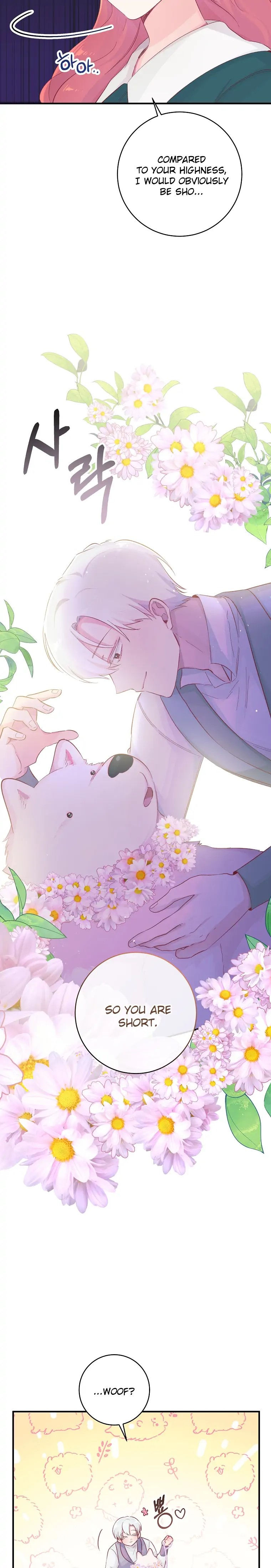 A Dream Escape END image