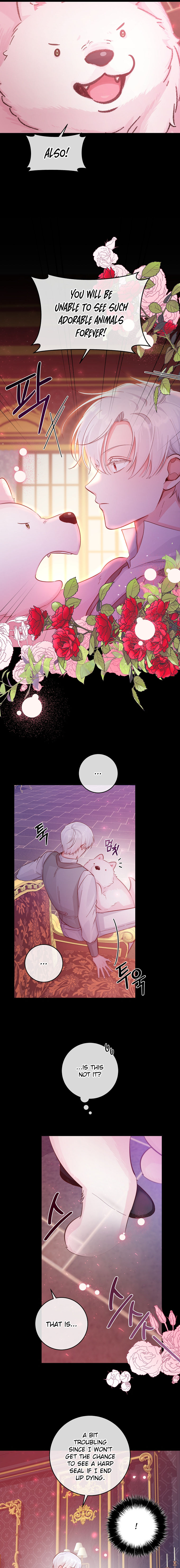 A Dream Escape END image
