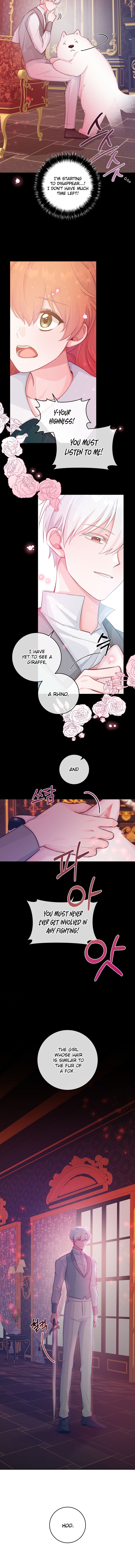 A Dream Escape END image