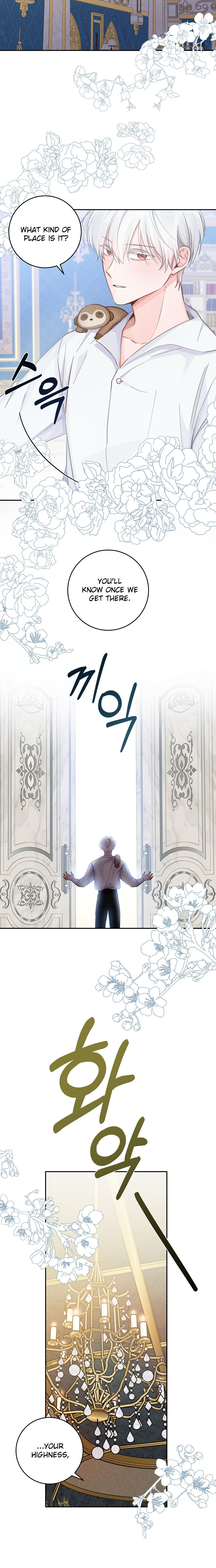 A Dream Escape END image