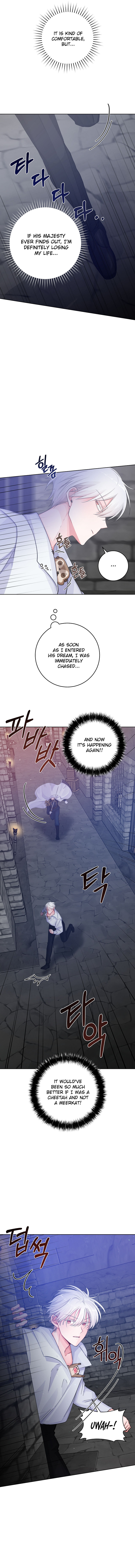 A Dream Escape END image