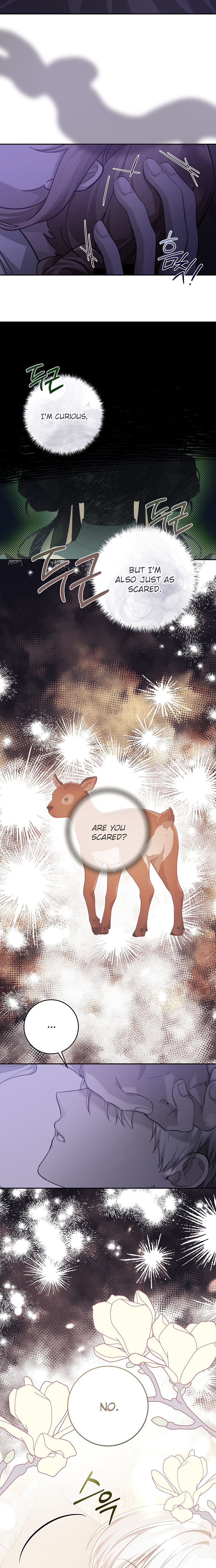 A Dream Escape END image