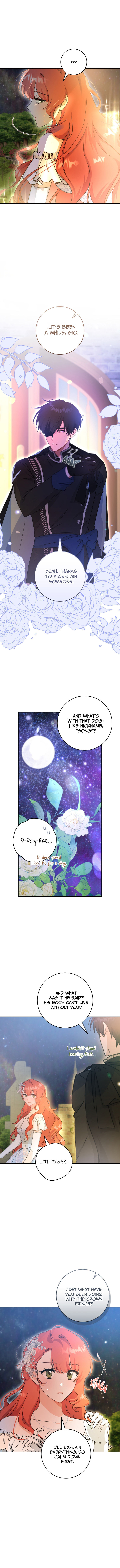 A Dream Escape END image