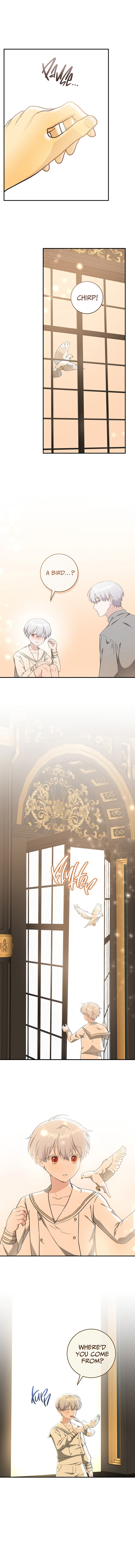 A Dream Escape END image