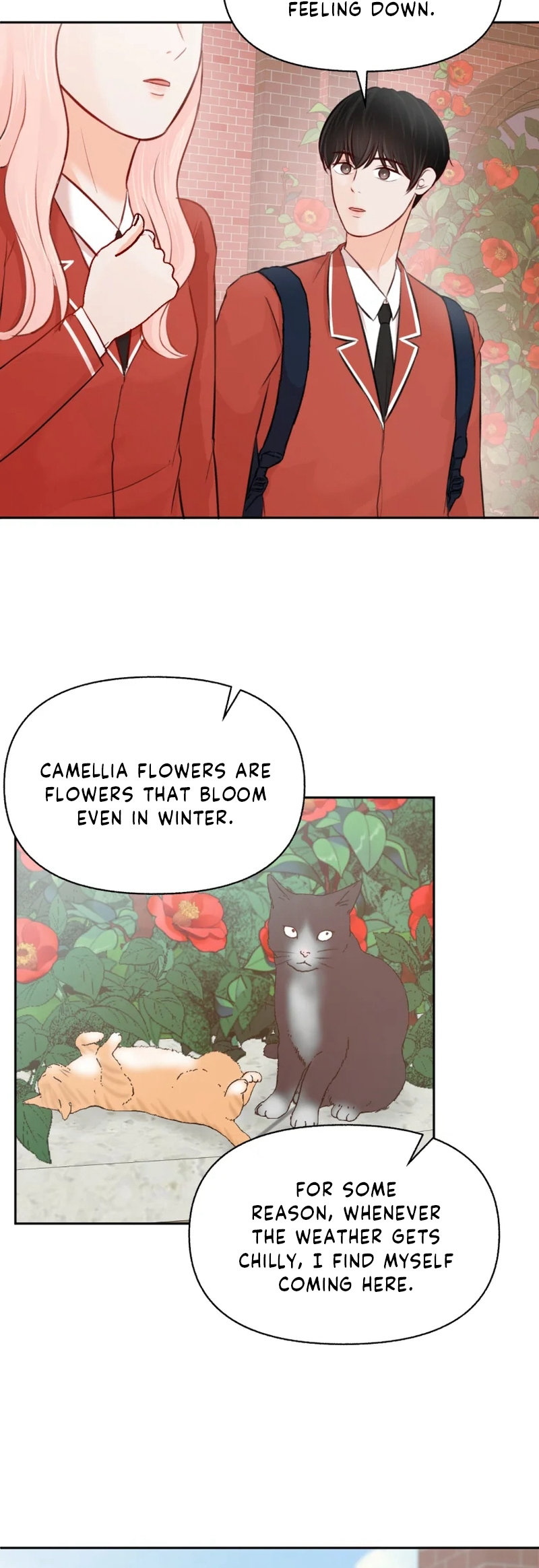 An Everlasting Maiden END image