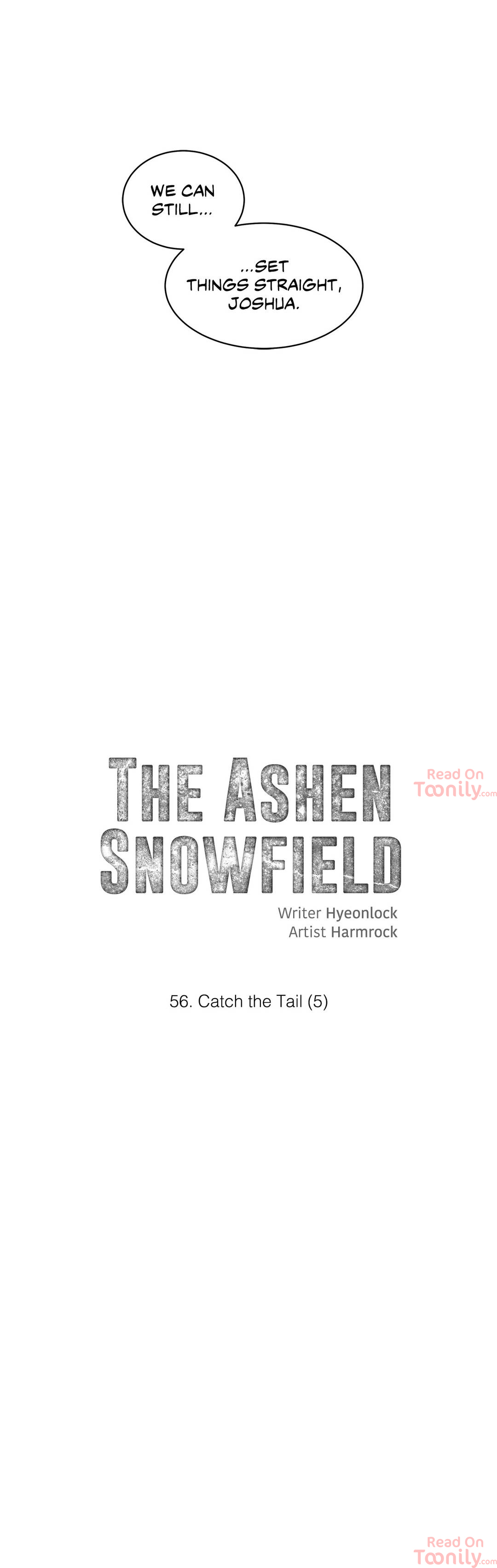 The Ashen Snowfield image