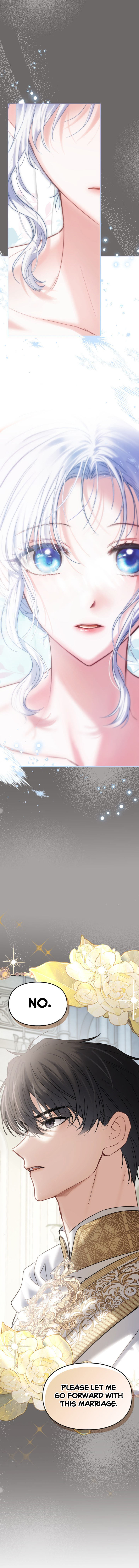 Baby Prisoner of the Winter Castle Zzz image