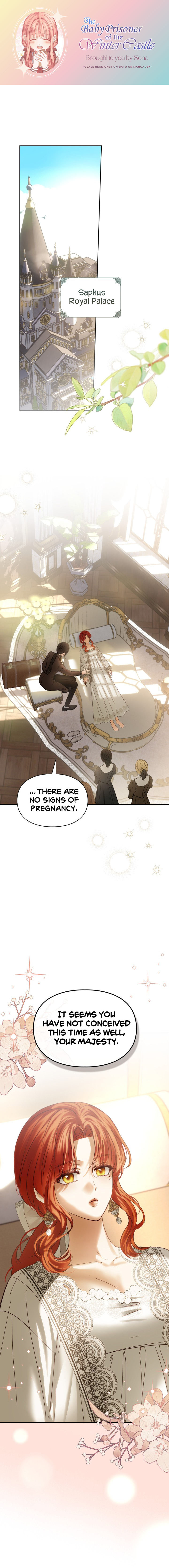 Baby Prisoner of the Winter Castle Zzz image
