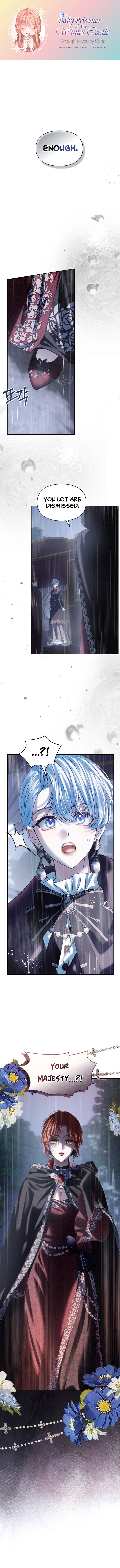 Baby Prisoner of the Winter Castle Zzz image
