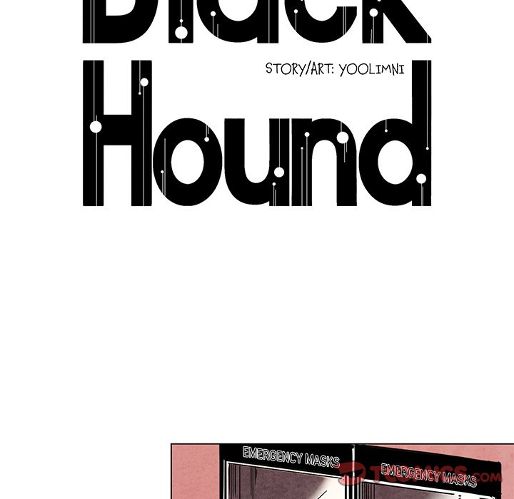 Black Hound image