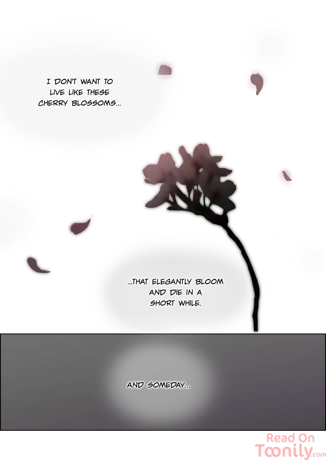 Bloody Festival image