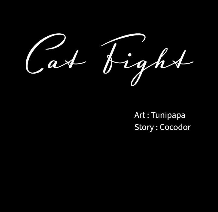Cat Fight image