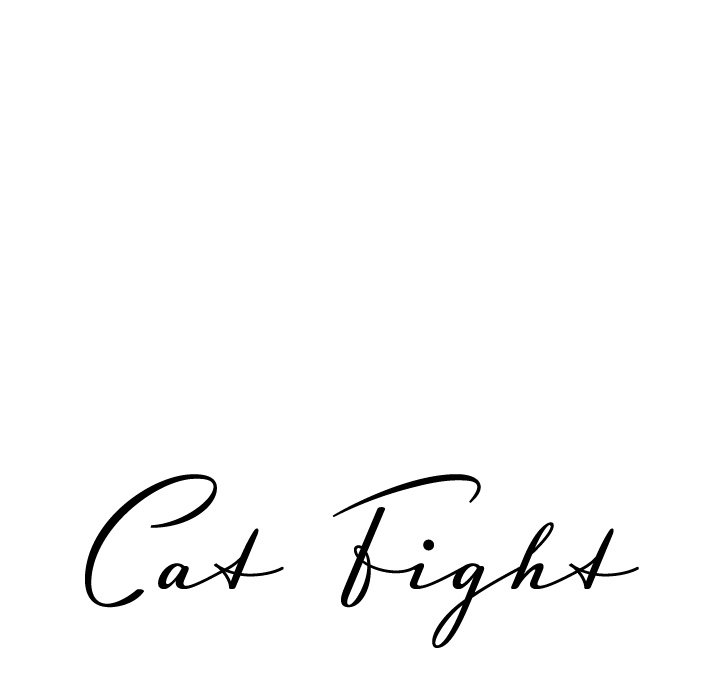 Cat Fight image