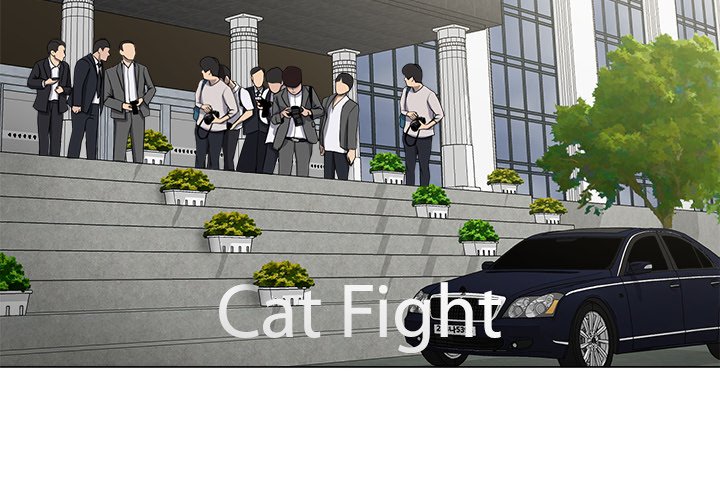 Cat Fight image