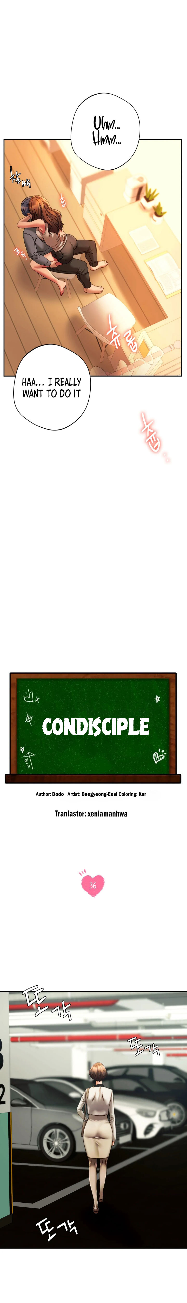 Condisciple image