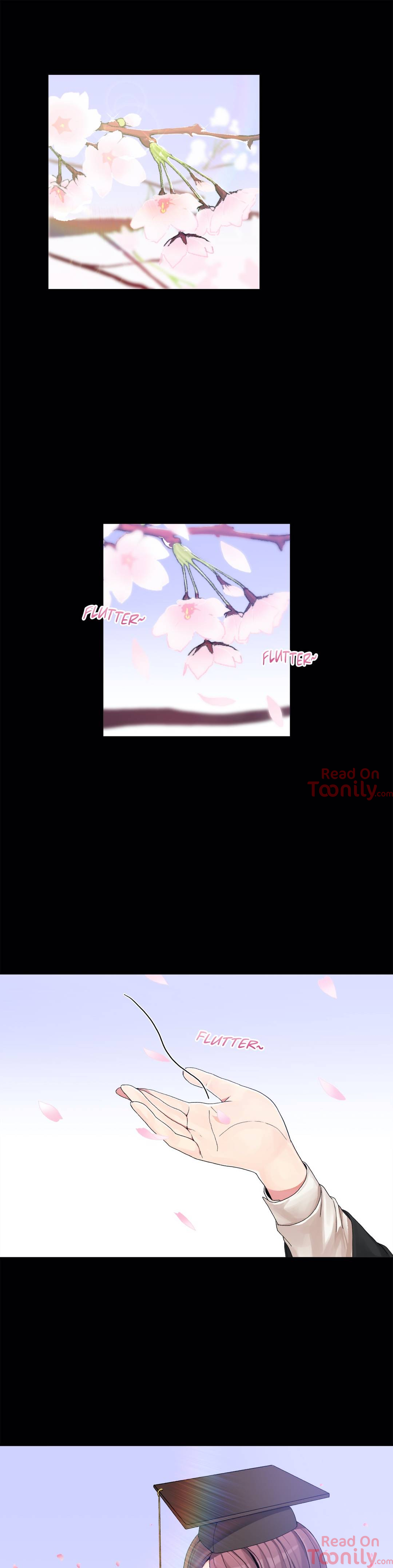 Deceptions image