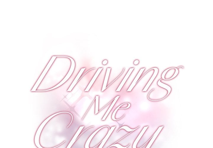 Driving Me Crazy NEW image