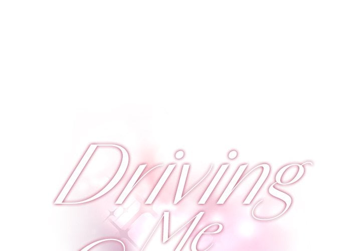 Driving Me Crazy NEW image