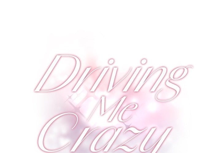 Driving Me Crazy NEW image
