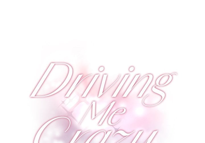 Driving Me Crazy NEW image