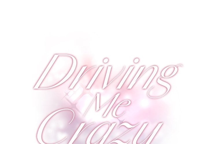Driving Me Crazy NEW image