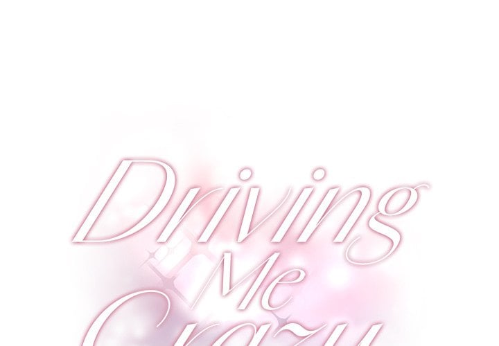 Driving Me Crazy NEW image