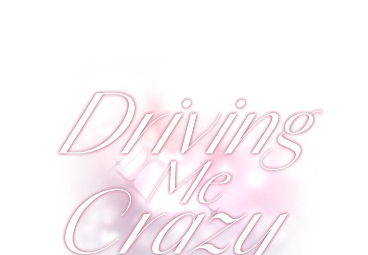 Driving Me Crazy NEW image