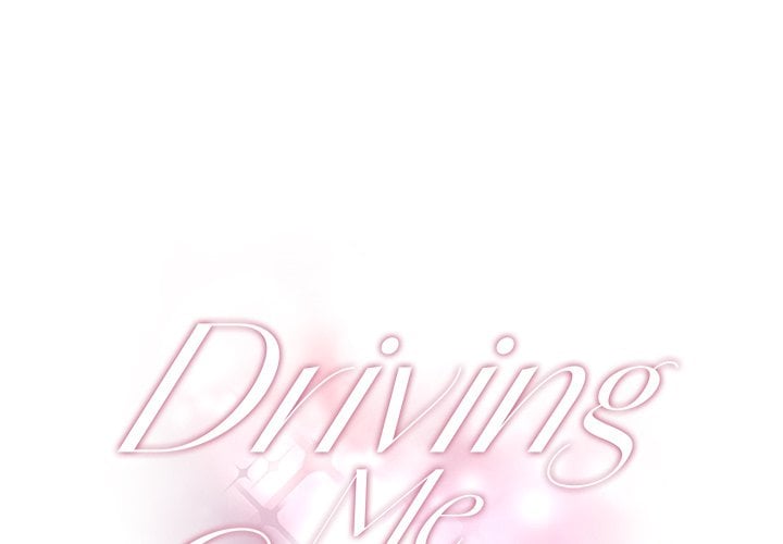 Driving Me Crazy NEW image