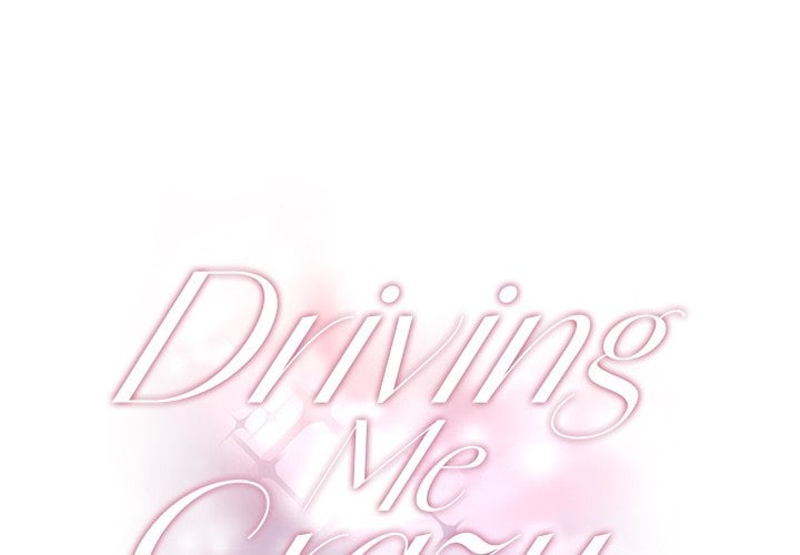 Driving Me Crazy NEW image