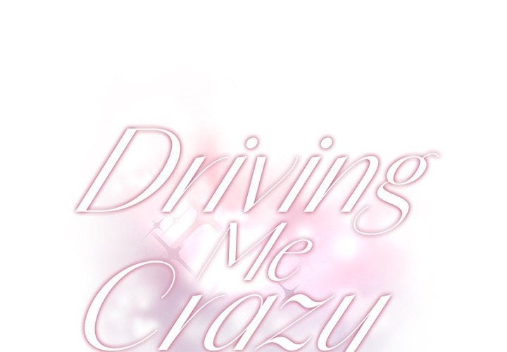 Driving Me Crazy NEW image