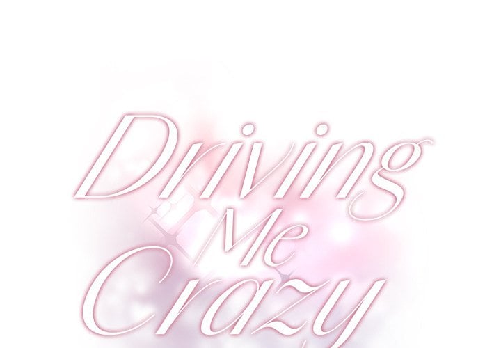 Driving Me Crazy NEW image
