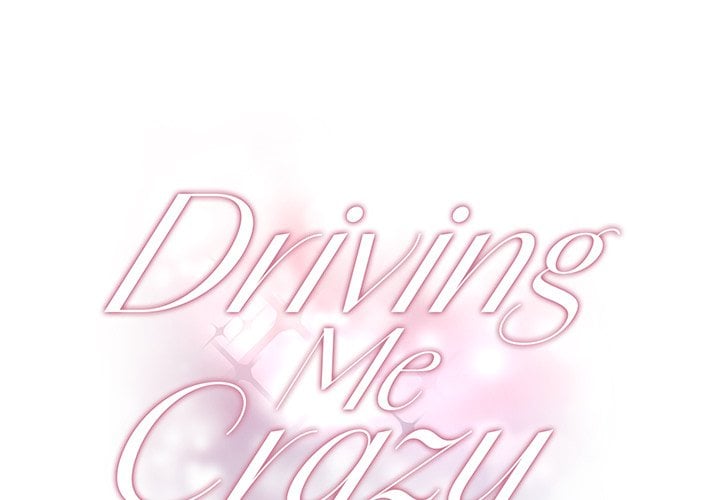 Driving Me Crazy NEW image