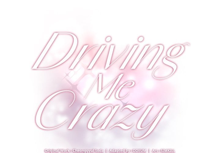 Driving Me Crazy NEW image