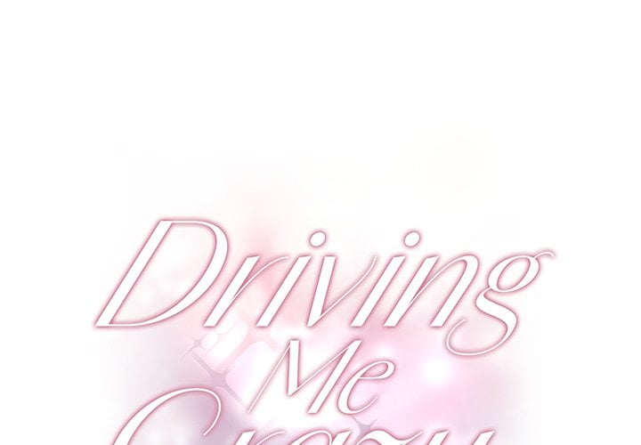 Driving Me Crazy NEW image