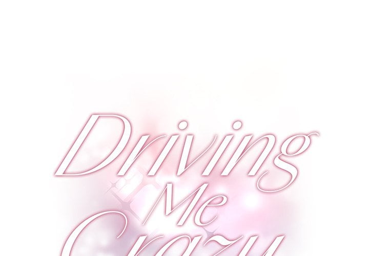 Driving Me Crazy NEW image