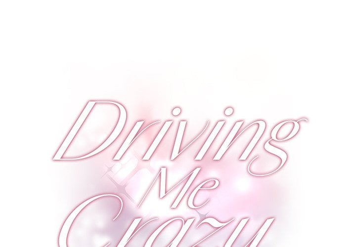 Driving Me Crazy NEW image