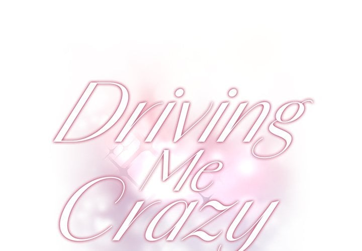 Driving Me Crazy NEW image