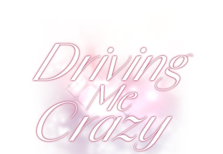 Driving Me Crazy NEW image