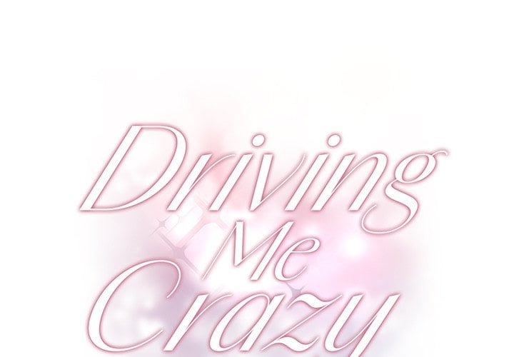 Driving Me Crazy NEW image