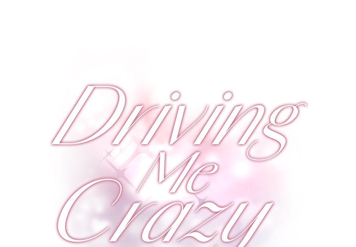 Driving Me Crazy NEW image
