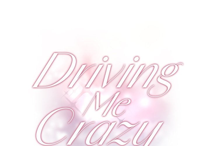 Driving Me Crazy NEW image