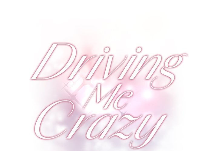 Driving Me Crazy NEW image