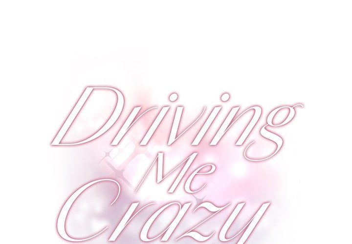 Driving Me Crazy NEW image