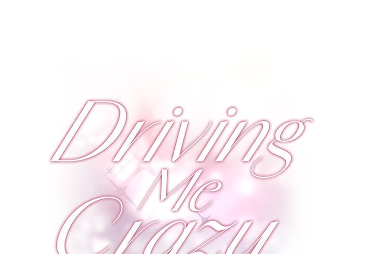 Driving Me Crazy NEW image
