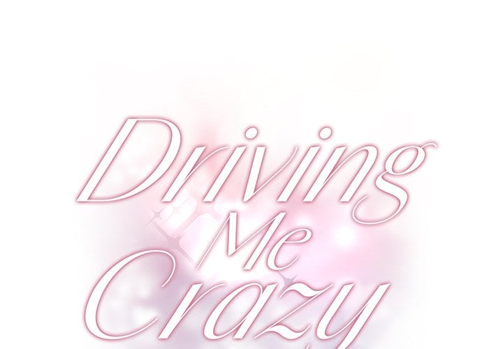 Driving Me Crazy NEW image