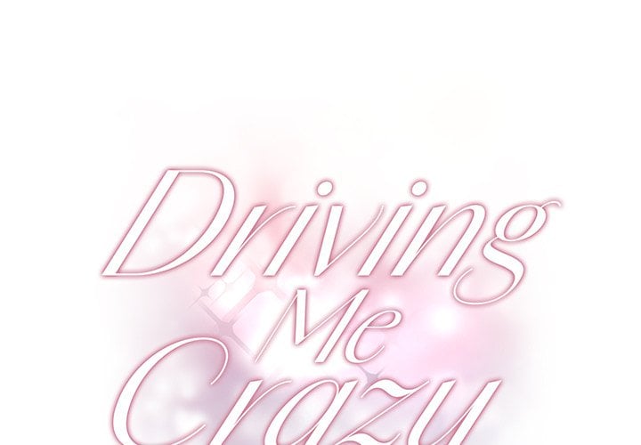 Driving Me Crazy NEW image