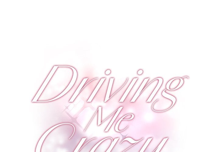 Driving Me Crazy NEW image