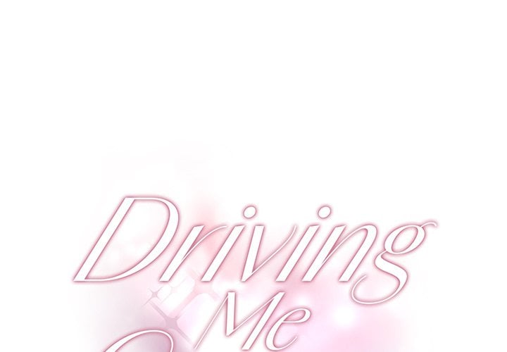 Driving Me Crazy NEW image