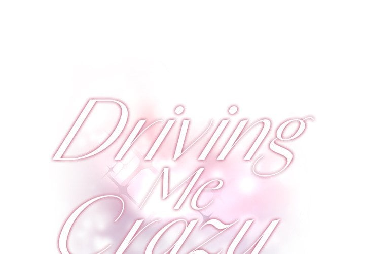 Driving Me Crazy NEW image