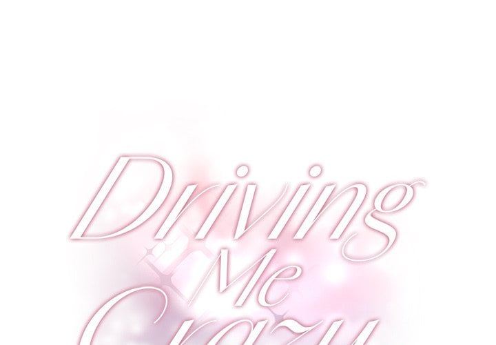 Driving Me Crazy NEW image